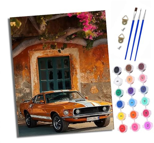 XXHXIE Peinture par Numéros pour Adultes Kit de Peinture à l'huile sur Toile par Numéro pour ou Débutants Voitures devant l'ancien mur Avec Pinceaux Peinture à Dessin 40 x 50 cm