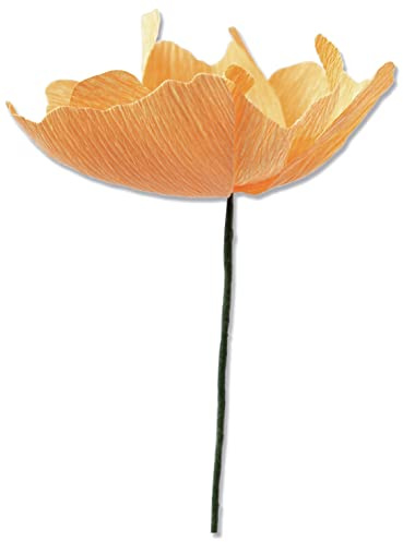 Sizzix Thinlits Matrizenset 5PK California Poppy von Lisa Jones, 664921, Kunststoff, Multicolor, Einheitsgröße