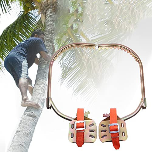 Ramponi Arrampicata, Ramponi Tree Climbing Artefatto degli Alberi Rampicanti Ramponi per Alberi per Caccia, Raccolta Frutta, Noce Cocco, Facile Usare
