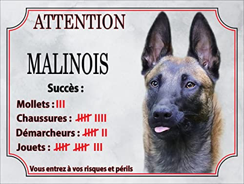 Plaque humour Attention au Chien en métal Aluminium - panneau malinois compte ses trophées,pancarte malinois humour