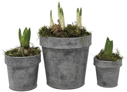 1x Round Zinc Planter - 3 Sizes, Rustic Grey Metal Plant Pot Tub, Kew Gardens Metal Plant Pot, Outdoor Garden Metal Tub, Garden Planter, Kew Gardens Zinc Metal Pot with Rim (Medium)