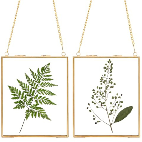 GBACHOOSE Lot de 2 cadres photo flottants en verre doré 36 x 28 cm pour œuvres d'art et affichage de certificat