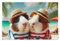 1000 Teile Puzzle, tropisches Meerschweinchen, stabiles 2 mm Puzzleteile, lustiges Puzzle für Erwachsene und Kinder