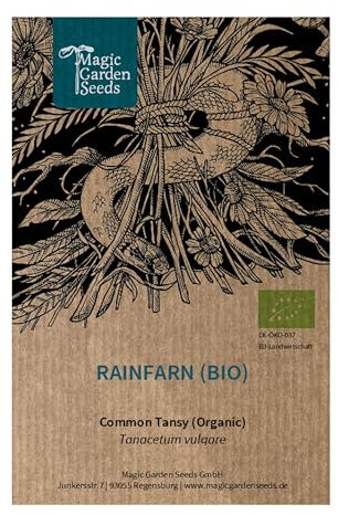 Rainfarn (Tanacetum vulgare) Bio - ca. 800 Samen