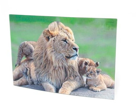 3 D Ansichtskarte Löwen Postkarte Wackelkarte Hologrammkarte Tier Löwe Raubkatzen