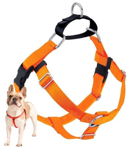 2 Hounds Design Freedom No-Pull No Leash Harness Only, 1-Inch, Large, Neon Orange