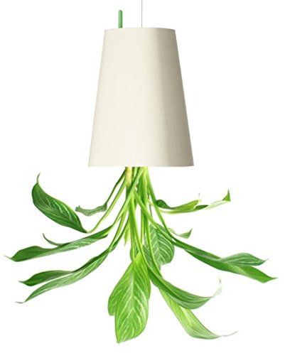 NEWCOM Upside-Down Plant Flower Pot Hanging Planter (Large, White)