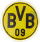 Borussia Dortmund BVB-Handwärmer, gelb