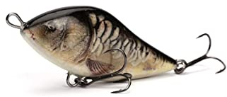 Salmo Slider Jerkbait Wobbler, Salmo Farben:Supernatural Mirror Carp, Länge/Gewicht/Laufverhalten/Tauchtiefe:10cm / 46g / sinkend / 1.0-1.0m