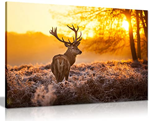 Panther Print, Canvas Wall Art Framed Hunting Pictures Artwork for Home Decoration Red Deer in the Morning Sun Canvas Prints for Special Occasions (36x24)
