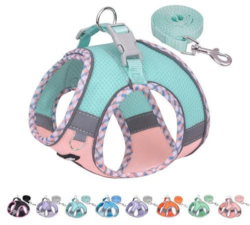AIITLE Hundegeschirr und Leine Set für Spaziergänge, Schritt in Welpengeschirr, weiche atmungsaktive Haustier Zubehör, reflektierende Bänder, für extra kleine Hunde und Hauskatzen Türkis-Rosa XXXS