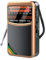 Cloudpower Radio portatile portatile, AM, FM, SW, 1000 mAh, mini radio digitale con sintonizzazione digitale, altoparlante da 3 W, ricarica di tipo C (oro)