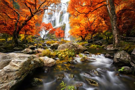 adrium Acryl-Bild 50 x 30 cm: Wasserfall im Herbst(33346994)