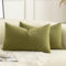 Mandioo 2er Set Kissenbezug 40x80 cm Salbei Grün Chenille Kissenbezüge weich Gemütlich langlebig modern Zierkissenbezug Dekokissen Kissenhülle für Sofa Wohnzimmer Schlafzimmer