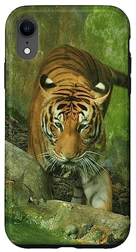 Malayan Tiger Case for iPhone XR