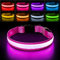 PcEoTllar Leuchthalsband Hund, Hundehalsband Leuchtend Aufladbar mit 7 Farbwechsel - 8 Leuchtmodi, LED Hundehalsband Wasserdicht für Kleine Mittlere Große Hunde Leuchtendes Halsband, Rosa-S