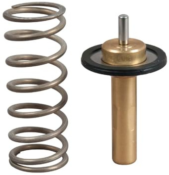 GATES Thermostat TH51690G1