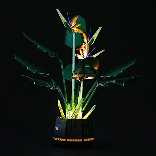 GEAMENT LED Licht-Set Kompatibel mit LEGO Königliche Strelice (Bird of Paradise) - Beleuchtungsset für Creator 10289 (Modell-Set Nicht enthalten)
