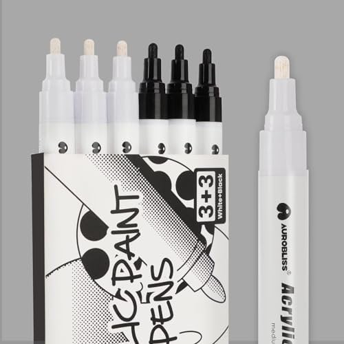 Marqueur Blanc et Noir 2-3mm, 6 Feutre Blanc Noir Indelebile pour Galets, Metal, Verre, Bois, Tissu Textile Permanent Feutre Acrylique