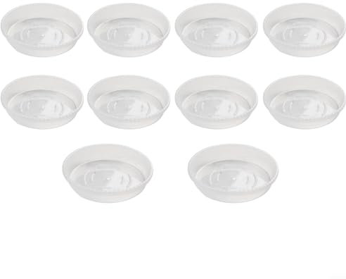 Gbtdoface Lot de 10 soucoupes rondes en plastique transparent pour pot de fleurs (13 cm)