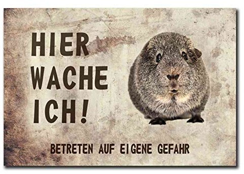 Homeyourself Hochwertiges Metallschild 30 x 20 cm aus Alu Verbund Hier wache ich Meerschweinchen Deko Schild Wandschild