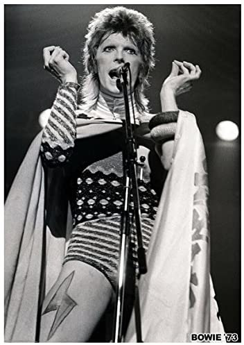 Artificial Posters DAVID BOWIE POSTER 1973 LIVE ON STAGE ZIGGY STARDUST