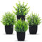Der Rose 4 paquetes de plantas falsas pequeñas artificiales mini plantas artificiales para interiores para habitación, hogar, oficina, decoración de estantes