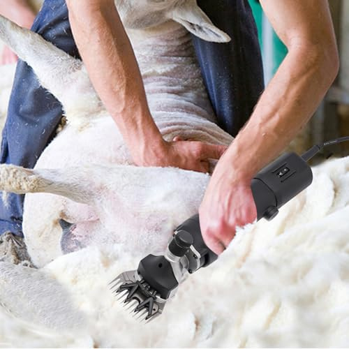 Tondeuse électrique pour moutons - Tondeuse électrique professionnelle - 350 W 220 V