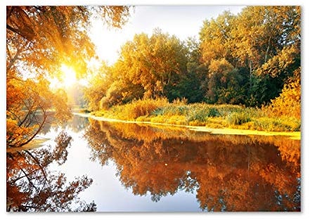 Tulup Splashback 39.37x27.56 inch / 100x70 cm Toughened Safe Glass Wall Protection Kitchen Splash back Glass Panel Protection Induction Cooker Kitchen Panel Tempered Glass - Orange - river in autumn