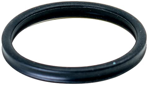 Oase Ersatzdichtung Vorfilter BioMaster – für Biomaster und Thermo-Modelle 45149