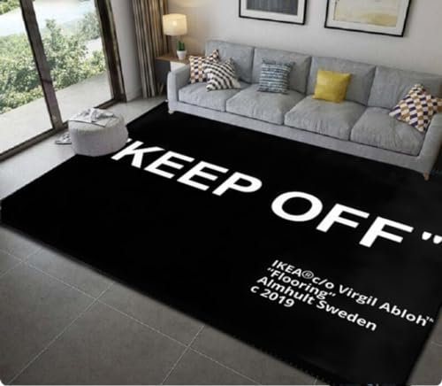 REIPOL Keep Off Wohnzimmer Teppich Schlafzimmer Dekor Teppich,Küche Badezimmer rutschfeste Bodenmatte 100x150cm