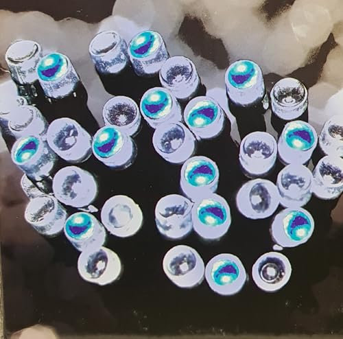 Home Supplies Direct LED String Lights Battery Operated Timer Fairy Outdoor Festive Christmas Xmas Party Display Illumination (Blue & White (200 LED - 20M))