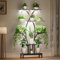 Mutool Plant Stand Indoor with Grow Lights, 163cm Tall Plant Shelf for Flower Display, Space-Saving Corner Flower Stand for Home, Living Room, Office & Patio Decor, Black