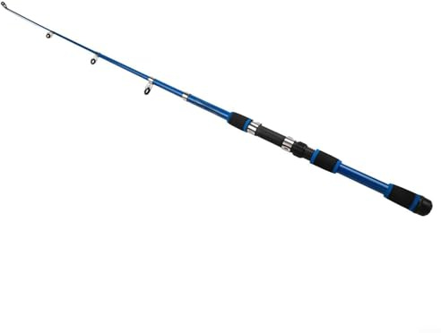 Set completo di attrezzi da pesca con canna telescopica e mulinello, perfetto per gli appassionati di pesca (blu)