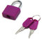MroMax Cadenas à clé, cadenas en alliage de zinc avec 2 clés, coque en ABS violet de 22,5 mm de largeur, cadenas étanche pour utilisation en extérieur pour valises, maison, boîte à outils, clés