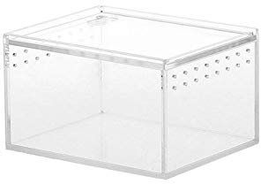 Skrskr Reptile Breeding Box Acrylic Transparente Aufbewahrungbox Für Lebendfutter Insekten Reptile Fütterungsbox Für Spinnen Grillen Schnecken Einsiedlerkrebse Vogel Spinnen Geckos