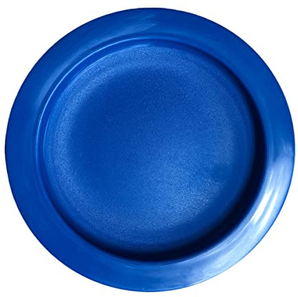 Rehabilitation Advantage Plate with Curved Inner Lip, 9 Inch Diameter, Blue