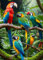 AveJoys 1000 Piece Macaws Parrot Jigsaw Puzzle - 27.56 x 19.69 Inch Educational Challenge Toy for Adults and Kids
