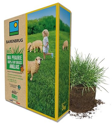 BARENBRUG - Prairie 100% Ray-grass anglais BIO - Rapide d’Installation - Polyvalente et Appétente - Très Bonne Pérennité 4 ans et + - Production Alimentation pour Animaux - Fabriqué en France - 3KG