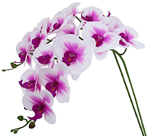 Htmeing Künstliche Phalaenopsis-Blumen, 96,5 cm, fühlen sich echt an (nicht Seide), Orchideen, Blumen für Zuhause, Büro, Hochzeit, Dekoration, 2 Stück (weiß rosa)
