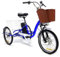 YXYSSMDGHY 20'' Elektro-Dreirad Für Erwachsene, 350 W, 7-Gang-Dreirad, Herausnehmbarer 48-V-12-Ah-Akku, Verstellbarer Sitz (80–92 cm), Reichweite 35–45 Km,A