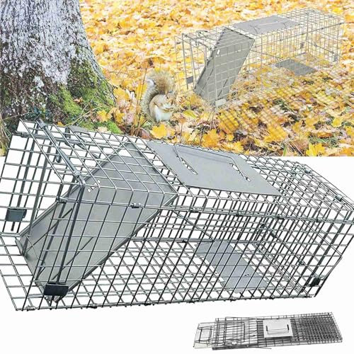 Piège à rats vivant - 60 cm - Piège à rats vivants - Piège à souris stable - Respectueux des animaux et réutilisable - Piège à souris - Pour l'intérieur, la cuisine, le débarras, le jardin, 61 x 19 x