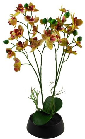 Leaf Design UK Realistic Artificial Orchid Flower Display in Pot, White