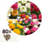 Plant in a Box - Ranunkel - Mix von 80 - Ranunkelzwiebeln - Sommerblühende Zwiebeln