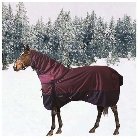 QCKNKMGG Pferdedecke mit Baumwollfüllung für Pferde Schwere 1680D Oxford-Stoff-Ripstop-Pferde-Winterdecke, warme 250 g Dicke Pferdedecke for den Winter(4XL)