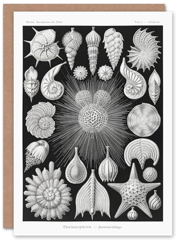 Artery8 Ernst Haeckel Art Card Forams Vintage Illustration