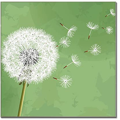 banjado® Glas Magnettafel mit 4 Magneten - Magnetwand 60x60cm mit Motiv Pusteblume 3 - Memoboard/Pinnwand magnetisch, beschreibbar, perfekt für die Küche - Magnetboard auch als Wandbild/Wandtafel