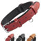 Grand Line Collier de Chien Ajustable Coussin Moelleux Cuir Rembourré avec Perforatrice 3 Couleur 4 Tailles, Rouge(XS)