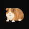 IM Meerschweinchen Figur Gartenfigur Gartendekoration Wald Garten Dekoration Wildlife