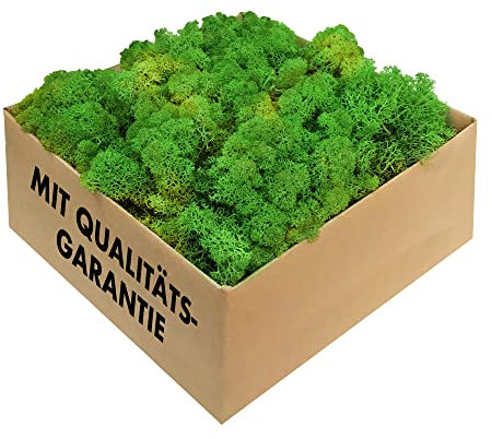 Islandmoos - konserviertes Moos in 200g/500g/1kg/4kg für Moosbilder, als Deko oder zum Basteln (laubgrün, 4kg)